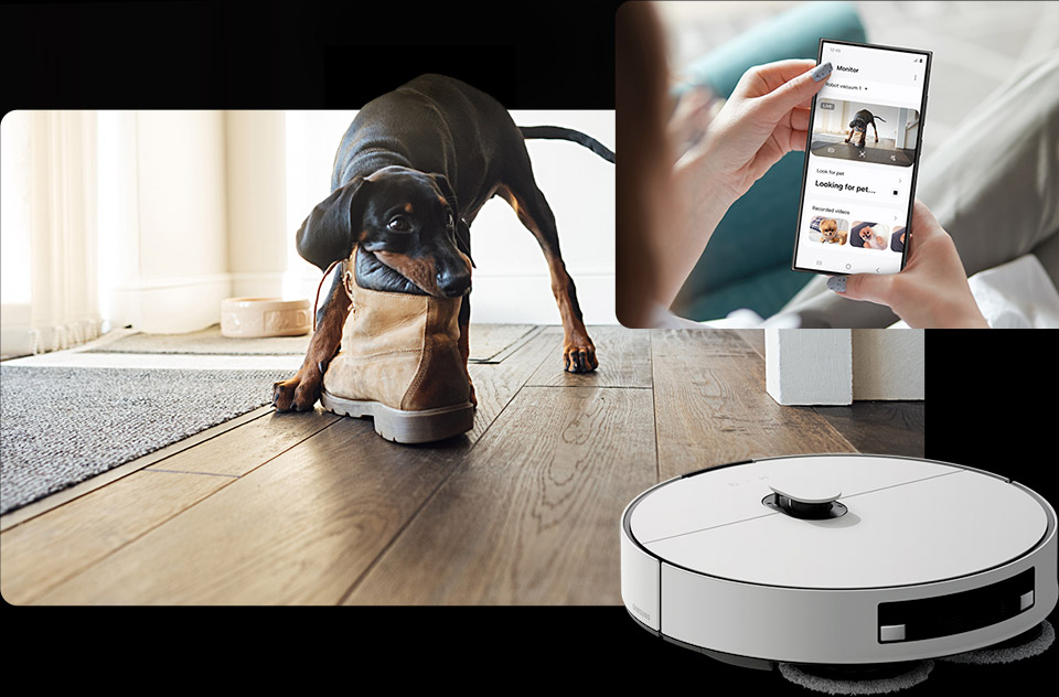 моніторинг будинку та тварин у прямому ефірі