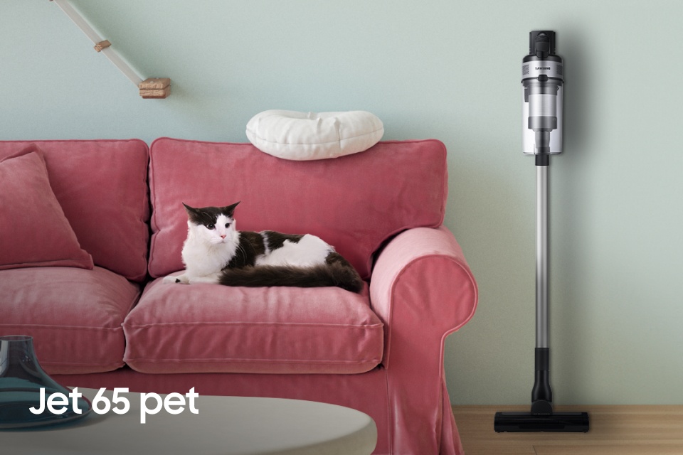 Вертикальний пилосос Samsung Jet 65 pet доступний в Rtv Euro Agd