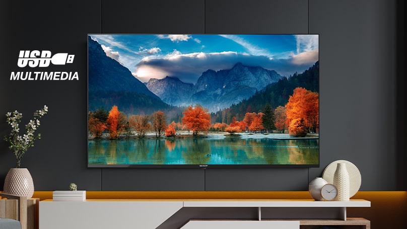 4K ULTRA HD LED SHARP GOOGLE TV