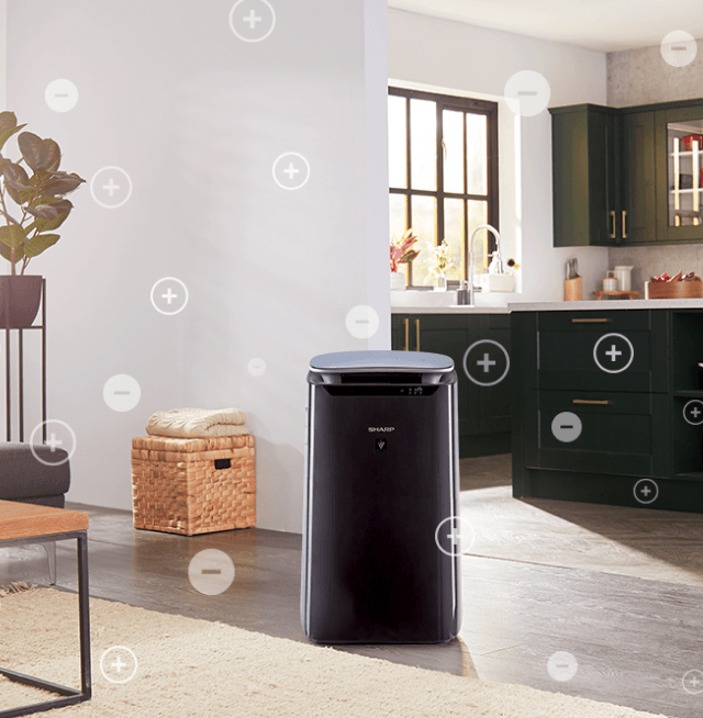 Air Cleaner FP-J60EU-H