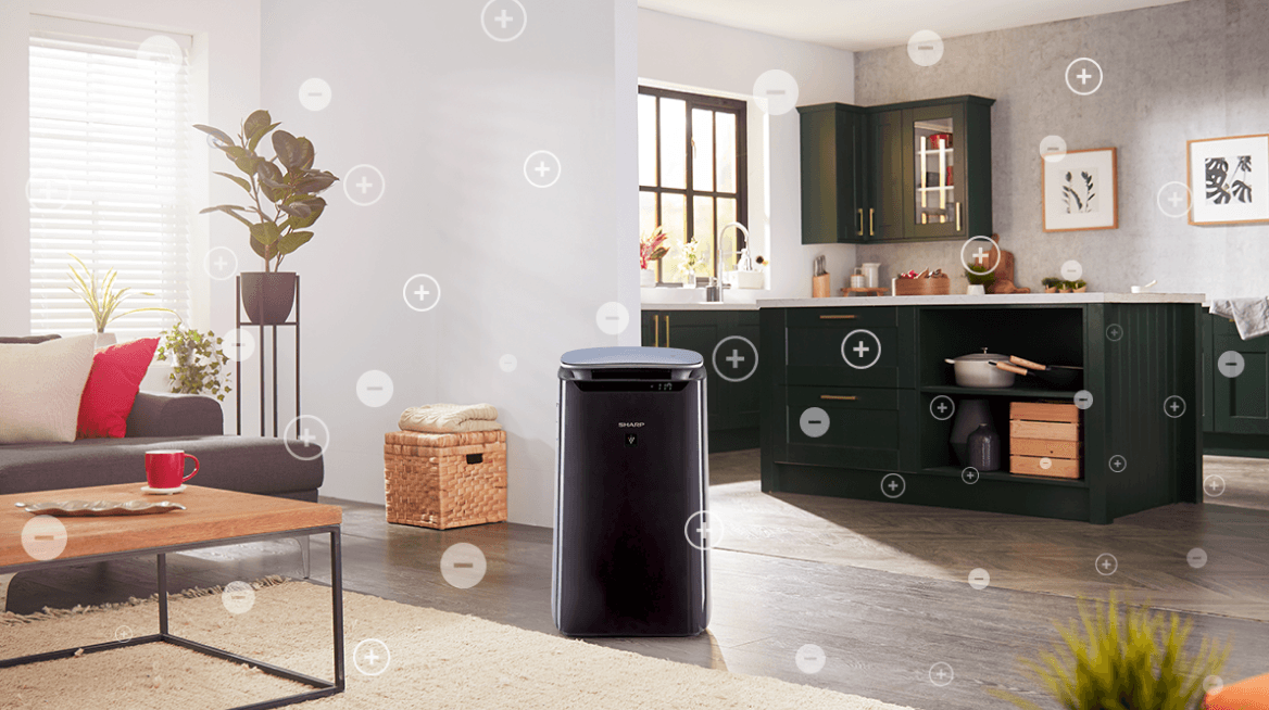 Air Cleaner FP-J60EU-H