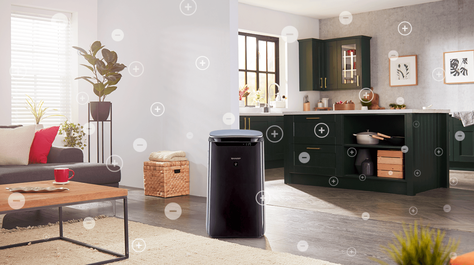 Air Cleaner FP-J60EU-H
