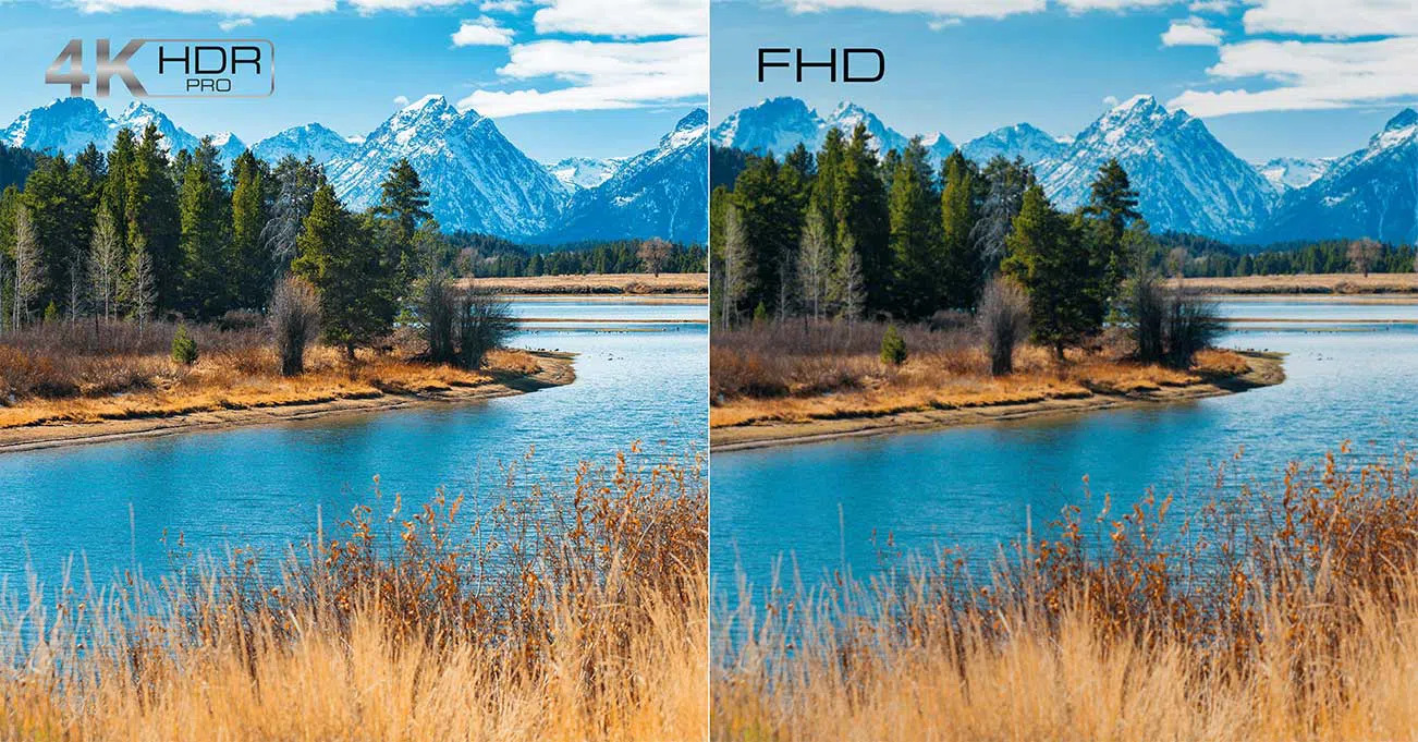 Наживо,
									</div>
												<div id=