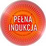 Info-3 Icon