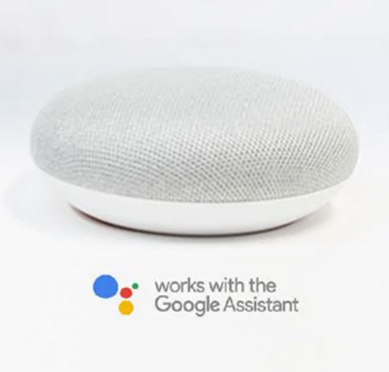 Asystent głosowy Google