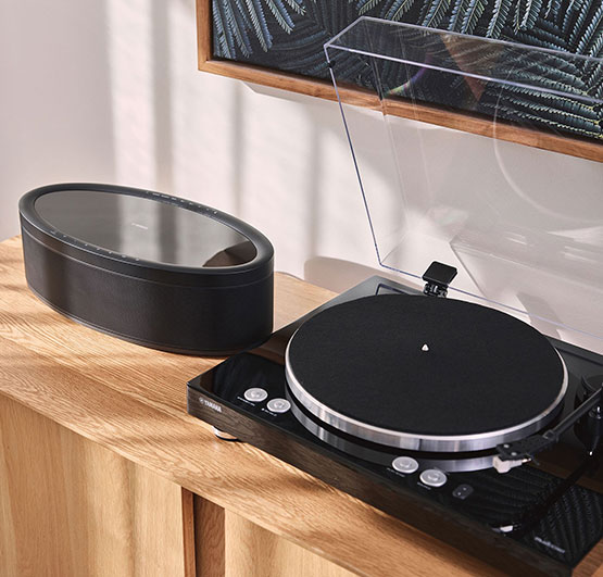 VINYL 500 слухайте улюблені чорні платівки, перемикайтеся на потокові та бездротові сервіси