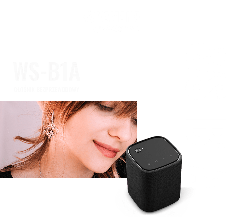 YAMAHA WS-B1A
