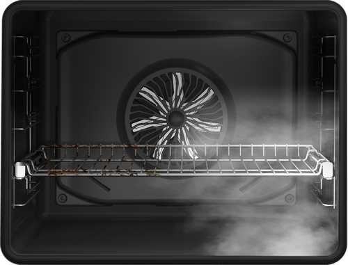 Очищення парою SteamShine