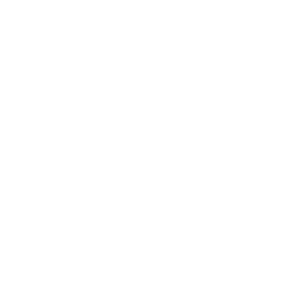 Moc silnika ((800W)