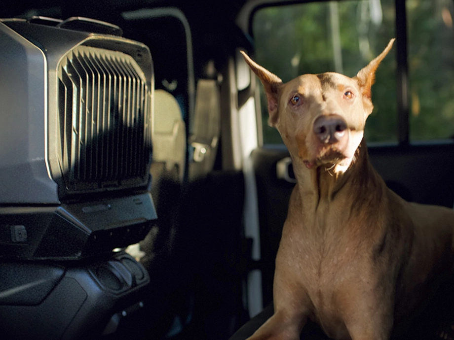 У машині встановлено кондиціонер. Поруч з ним лежить коричневий собака.