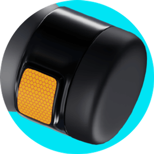 ПОВОРОЖНИК