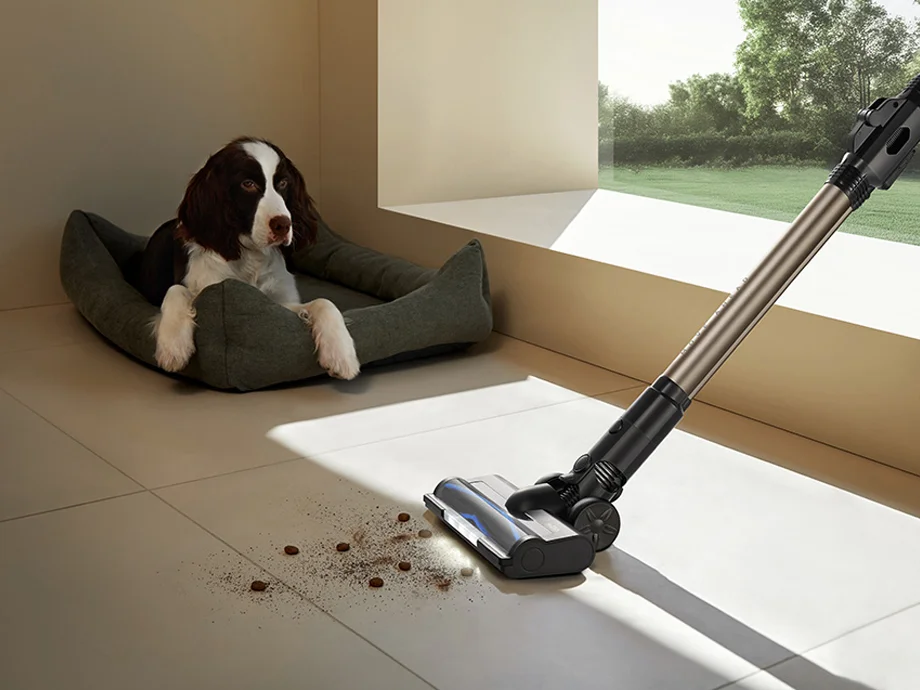 пилосос збирає бруд поруч із собакою, що лежить у своєму ліжку