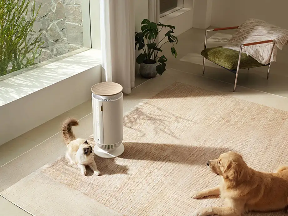 Собака та кіт відпочивають на килимі поруч із очищувачем повітря MOVA P10 у світлій вітальні з великим вікном та кріслом