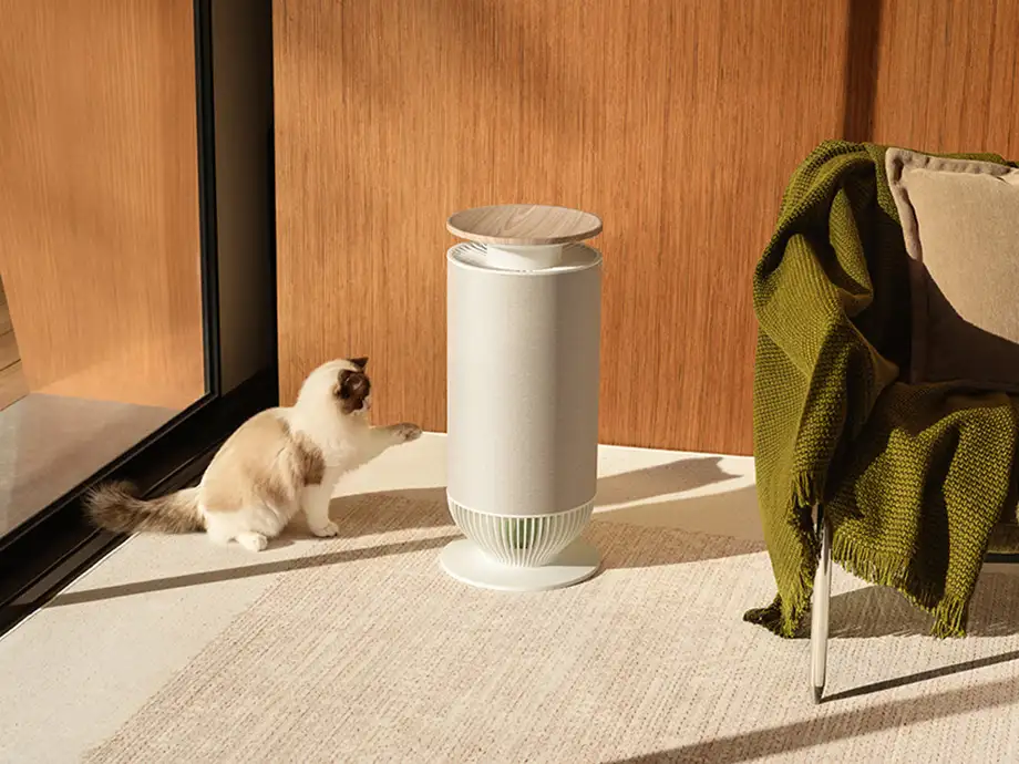 Білий очищувач повітря MOVA P10 з коричневою панеллю зверху стоїть у сонячній вітальні поруч із котом, що грається.