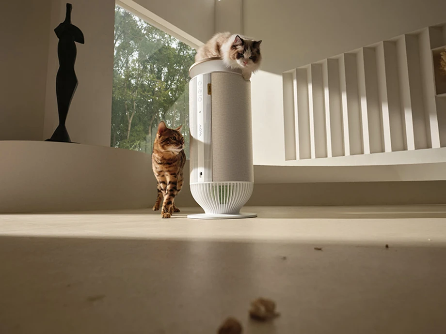 Два коти граються навколо очищувача повітря MOVA P10, що стоїть на підлозі у світлій вітальні