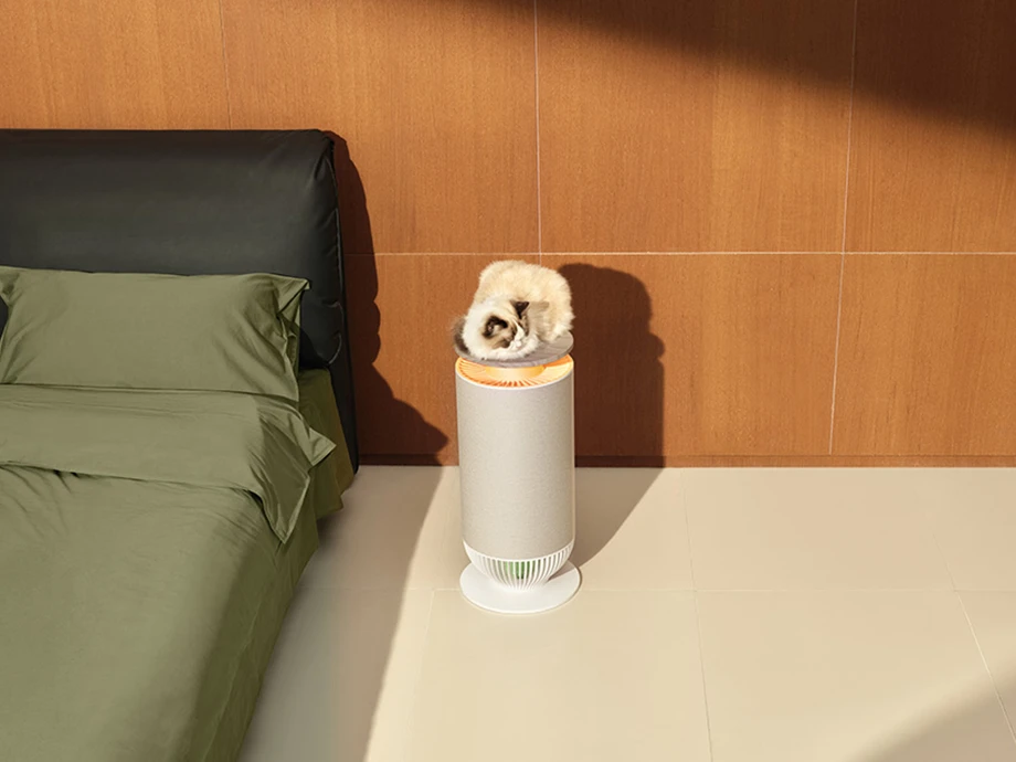 Кіт спить на очищувачі повітря MOVA P10, який розташований у спальні поруч із ліжком із зеленою постільною білизною.