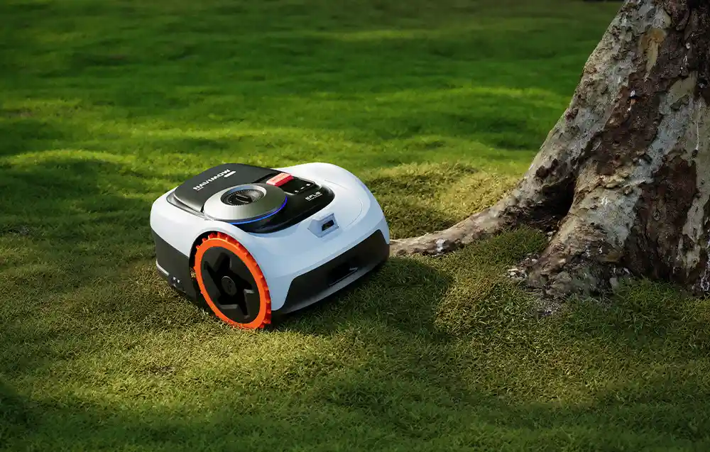 робот косить газон поруч із деревом