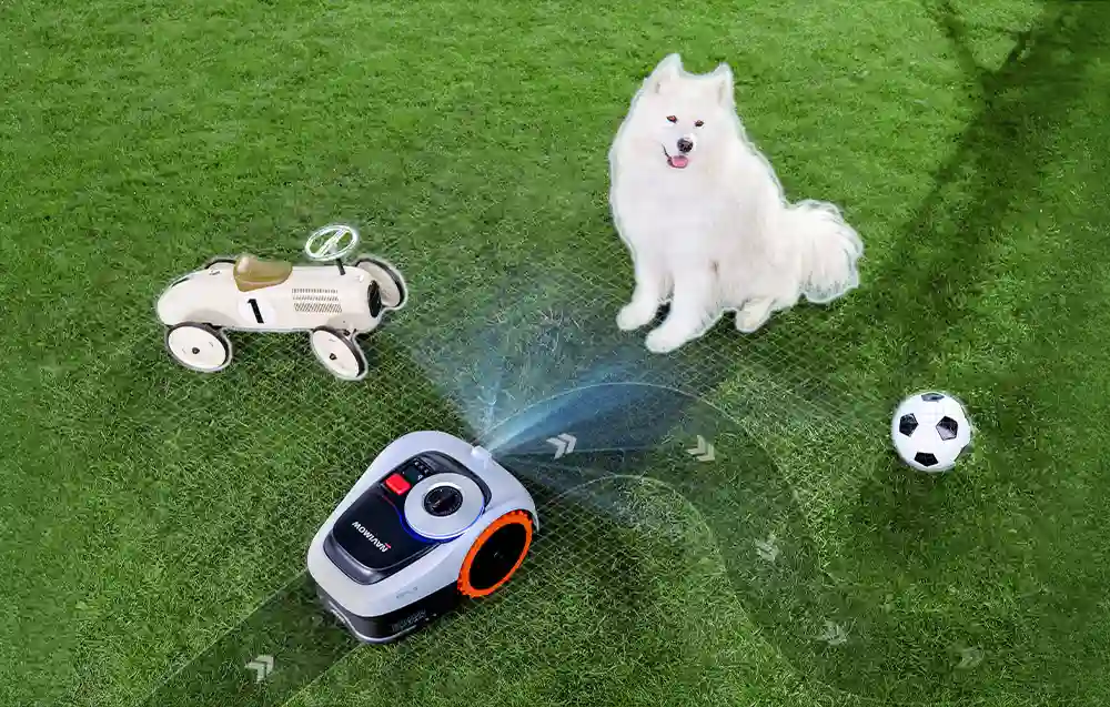 На газоні є робот-косарка, білий собака, м'яч та іграшкова машинка
