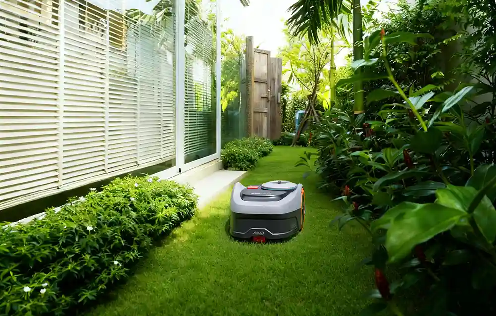 Робот-косарка в саду поруч із білою будівлею та різними рослинами