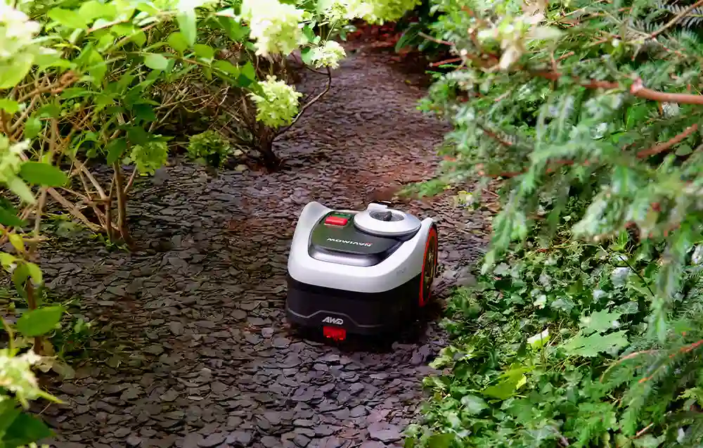 робот-косарка, що їздить по землі між кущами