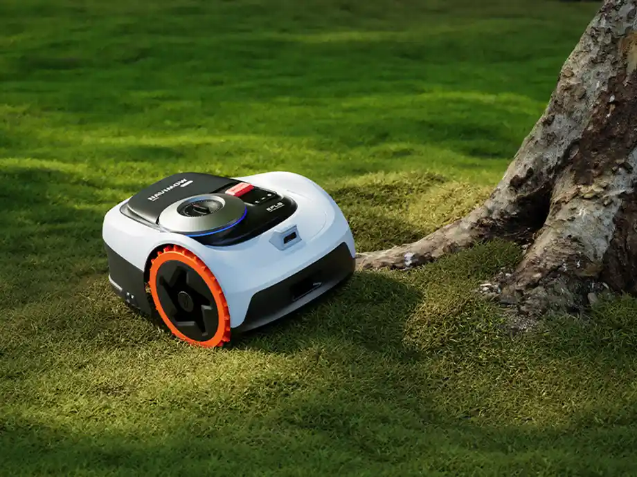 робот косить газон поруч із деревом