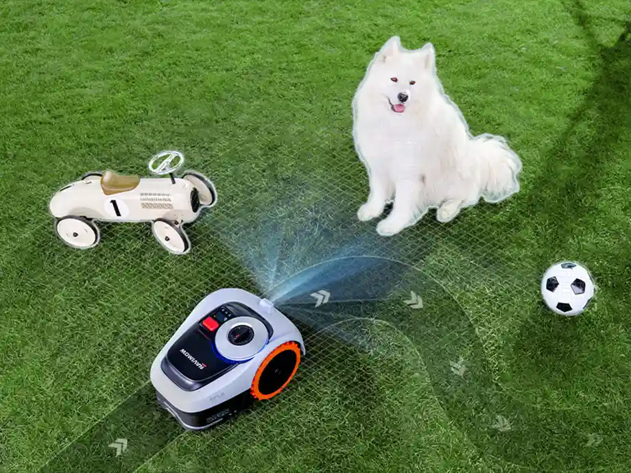 На газоні є робот-косарка, білий собака, м'яч та іграшкова машинка