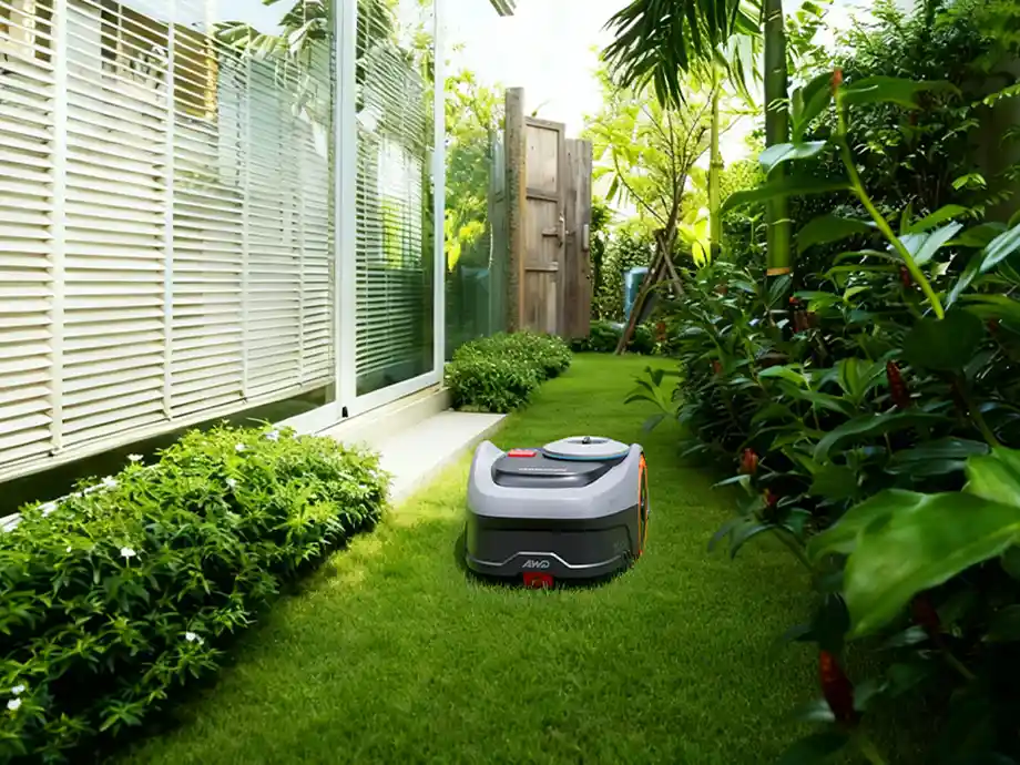 Робот-косарка в саду поруч із білою будівлею та різними рослинами