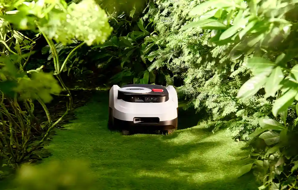 робот косить траву між зеленими кущами