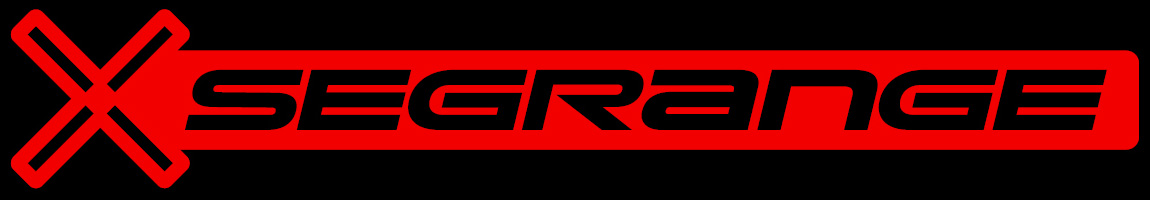 Сегвей ZT3 Pro D