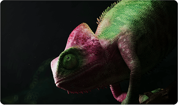 TV S Mini 55 cali 2025