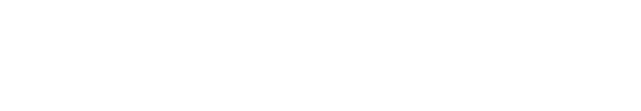 TV S Mini 55 cali 2025