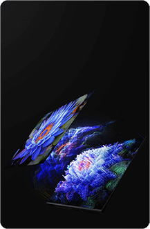 TV S Mini 55 cali 2025