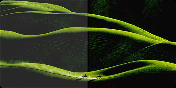 TV S Mini 55 cali 2025