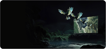 TV S Mini 55 cali 2025