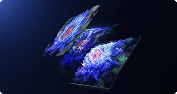 TV S Mini 55 cali 2025