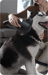 Спеціальна щітка для тварин