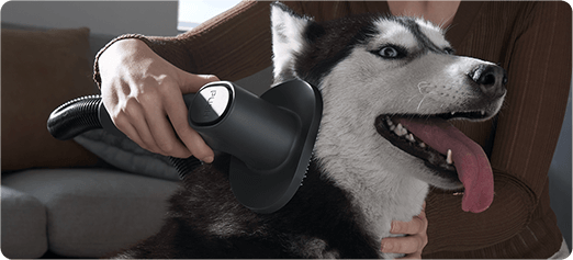 Спеціальна щітка для тварин