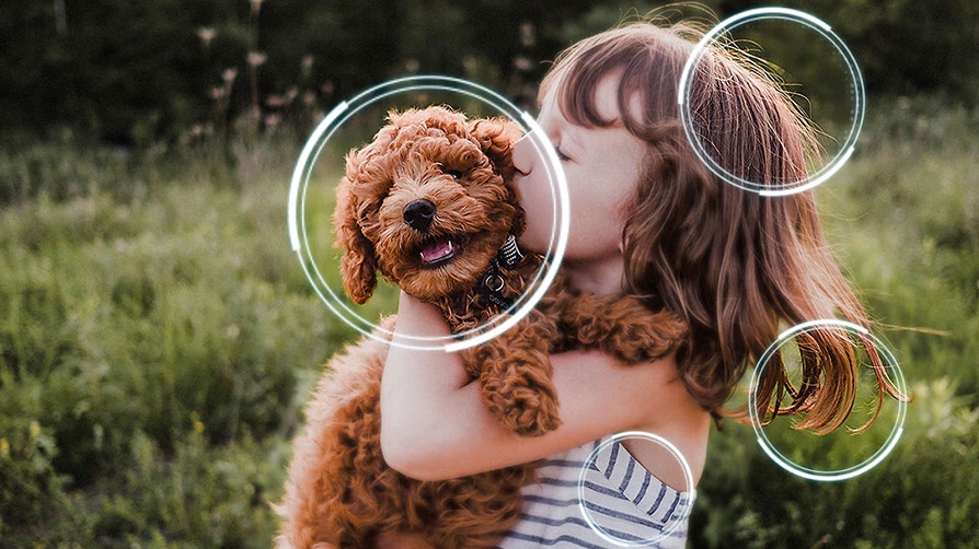 Skalowanie AI 4K Pro w telewizorze Samsung Mini LED Neo QLED dziewczynka z psem