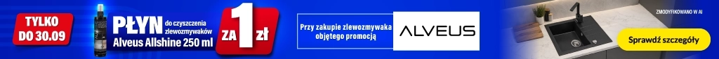 AGD - Alveus - Przy zakupie zlewozmywaka, środek do czyszczenia za 1 zł - DP-31 belka 1024x85 zlewozmywak z bateria