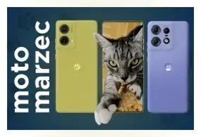 banner-image