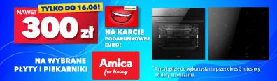 AGD -  Amica - płyty i piekarniki z KPE- 0524 - baner główny belka 396x116 